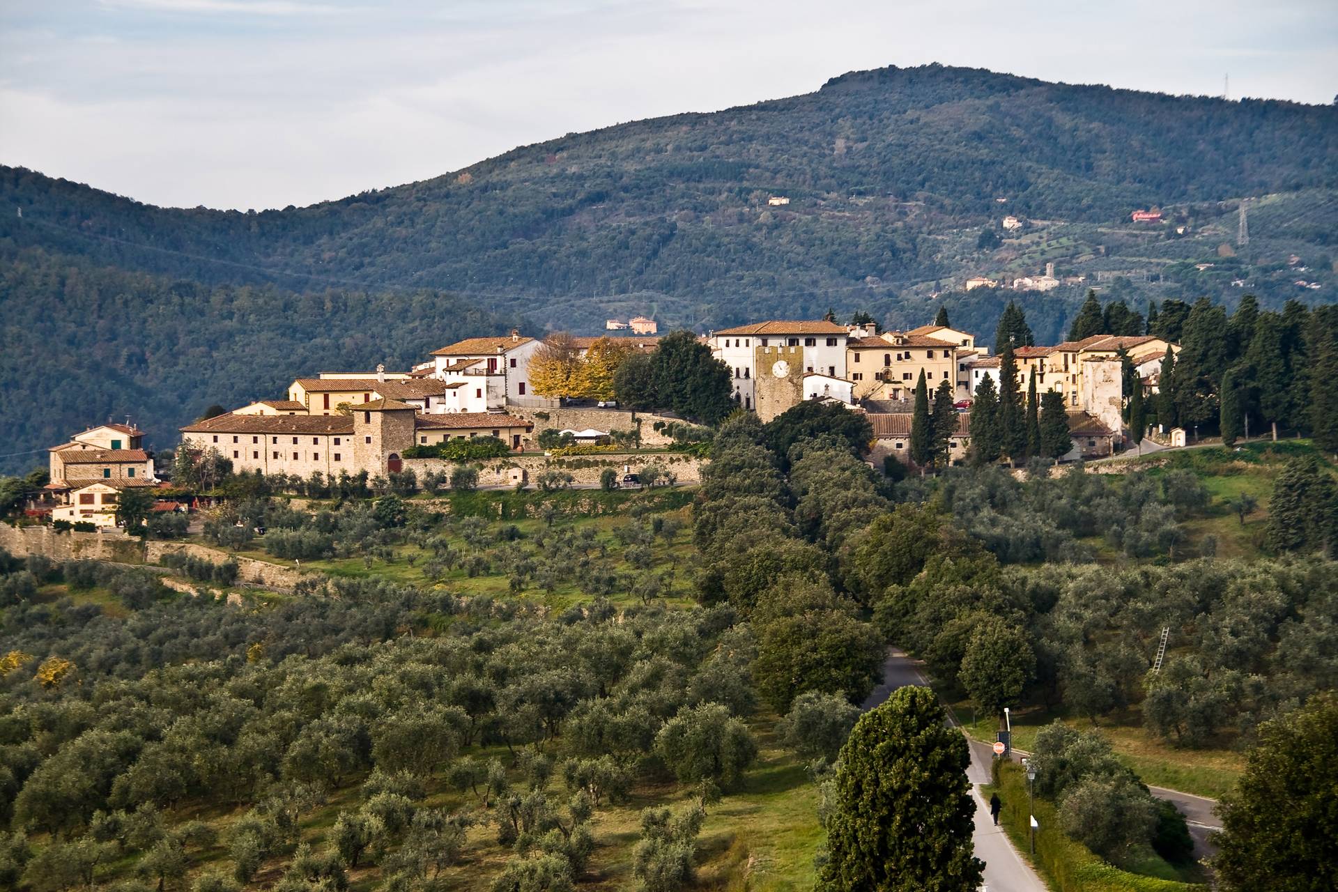 Borgo di Artimino